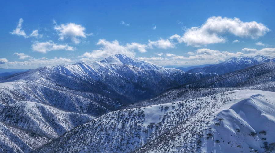 Le Scelte di Veicoli Più Popolari a Hotham Heights